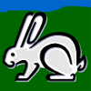 Barry The Rabbit
